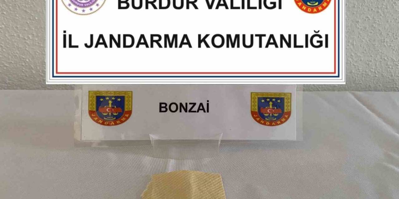 Burdur’da Çok Miktarda Uyuşturucu Madde Ve Tarihi Eser Ele Geçirildi, 1 Şüpheli Tutuklandı