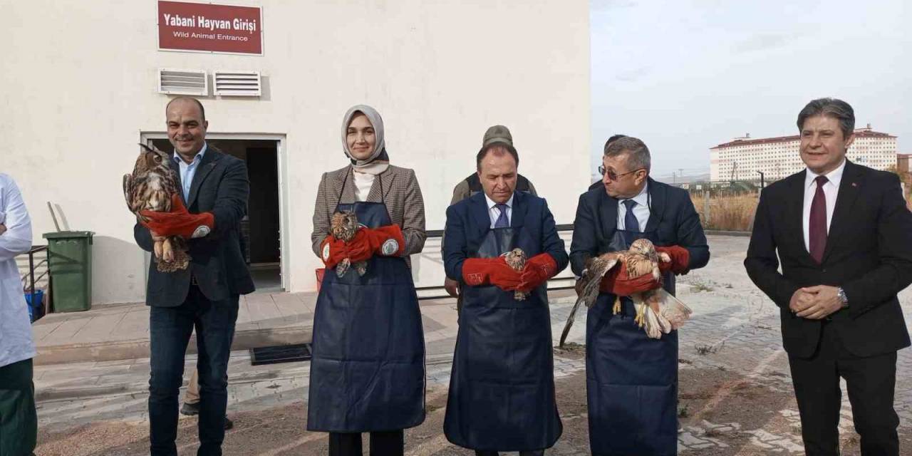 Tedavilere Tamamlanan Yırtıcı Kuşları Doğaya Protokol Üyeleri Saldı