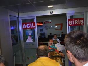 Ordu’da Trafik Kazası: 2 Yaralı