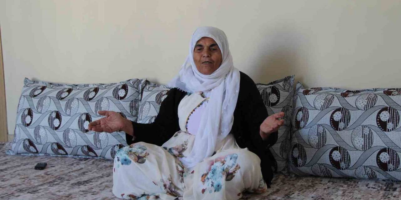 Asırlık Çınar Kumri Nine, Cumhuriyet’in 100’üncü Yılına Şahitlik Ediyor