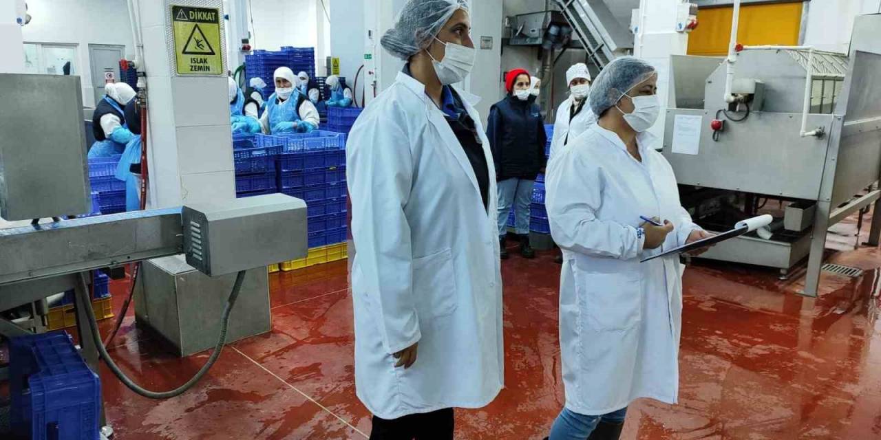 Su Ürünleri Denetimleri Sürüyor