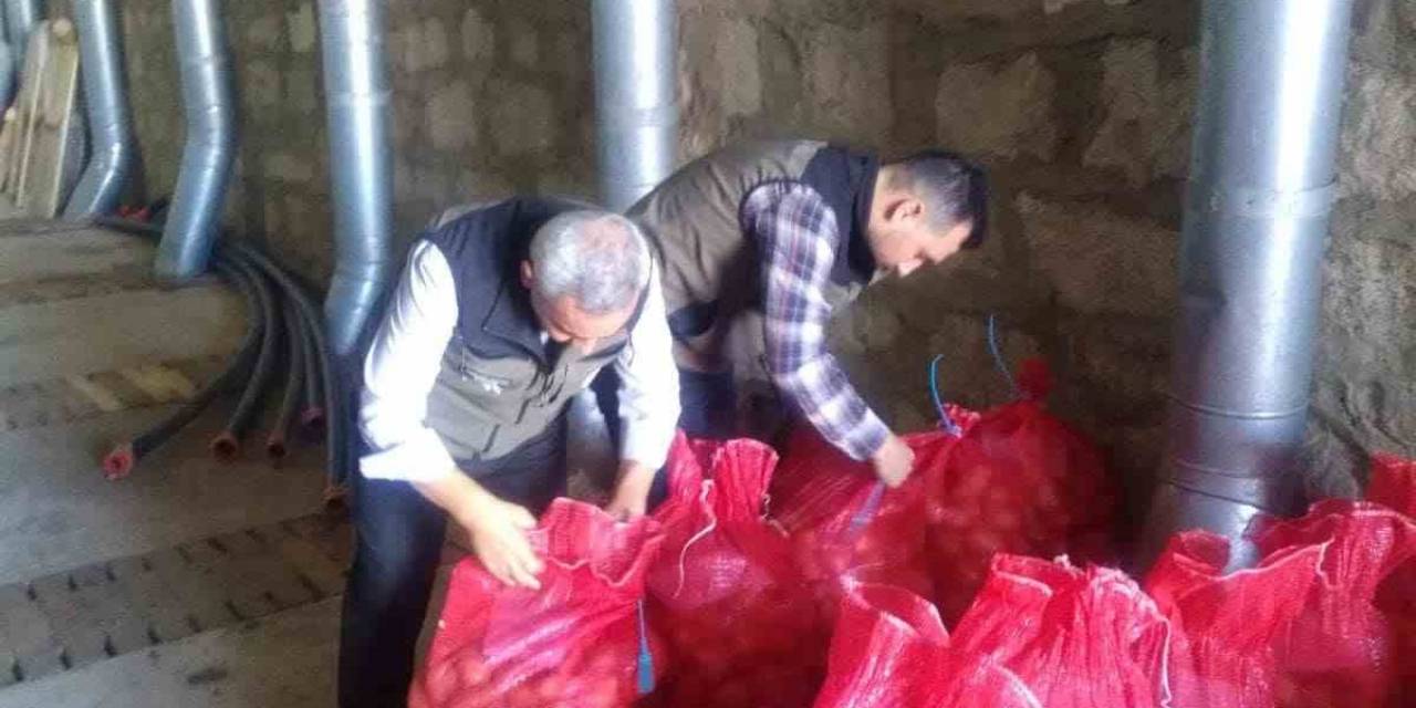 Tohumluk Patateslerin Kontrolü Yapıldı