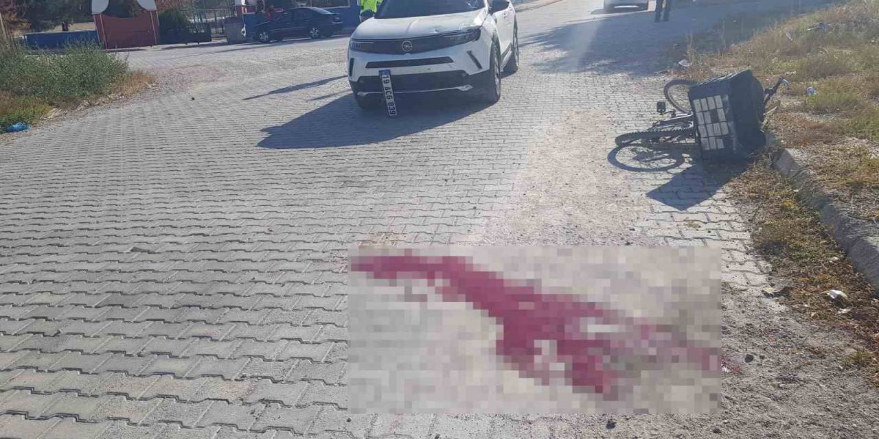 Cipin Çarptığı Bisiklet Sürücüsü Hayatını Kaybetti