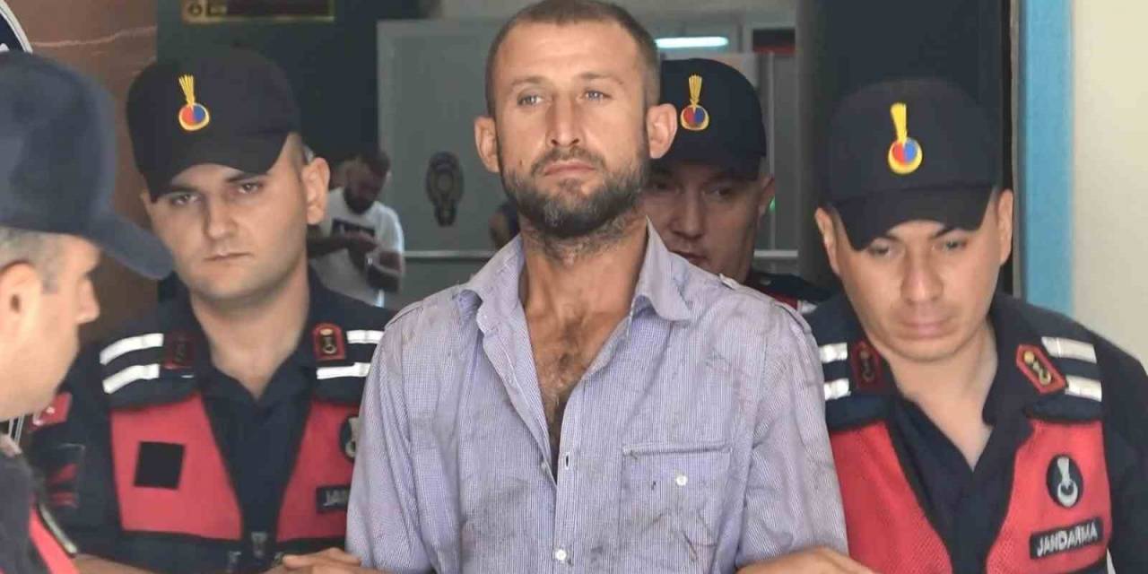 3 Ay Önce Ormanı Yakan Sanığa Tahliye Kararı