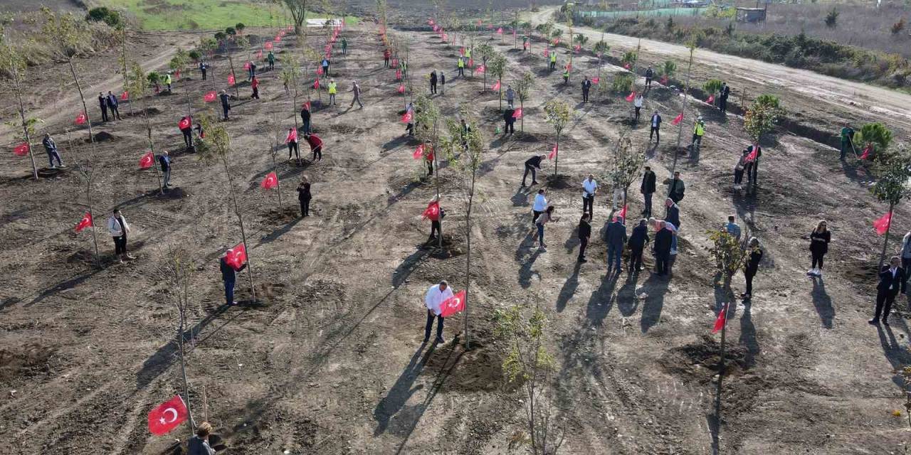 Cumhuriyet’in 100. Yılı Anısına “100. Yıl Cumhuriyet Ormanı” Oluşturuldu