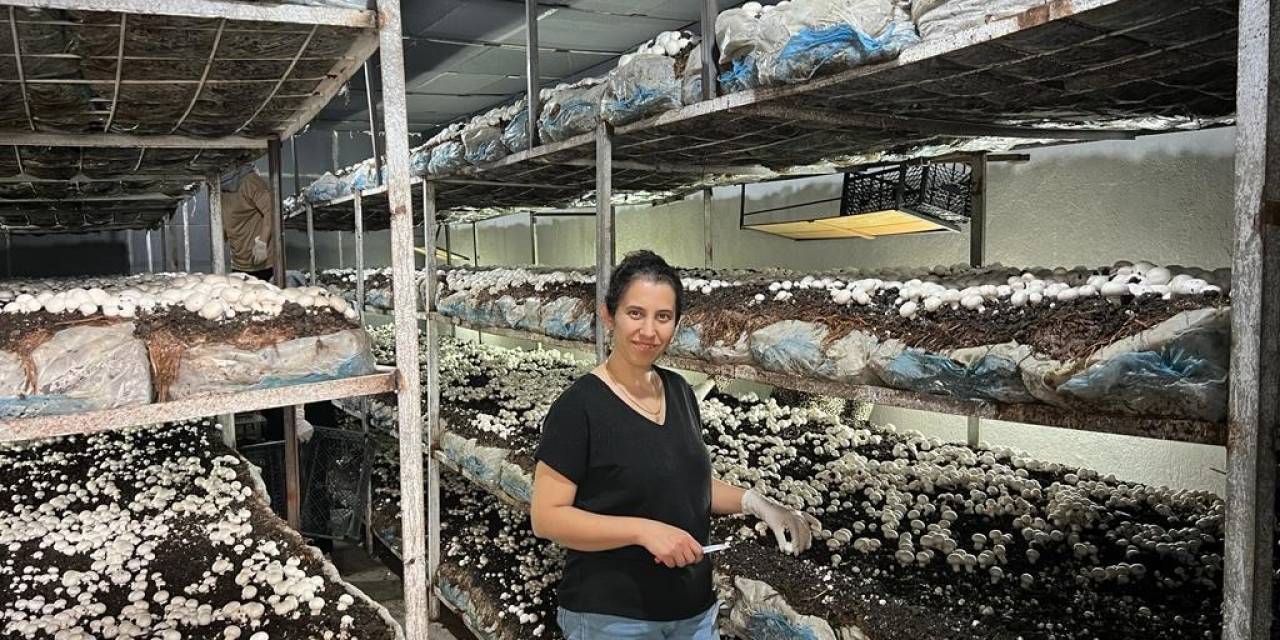 Emetli Girişimci Kadın Kültür Mantarı Üretiyor