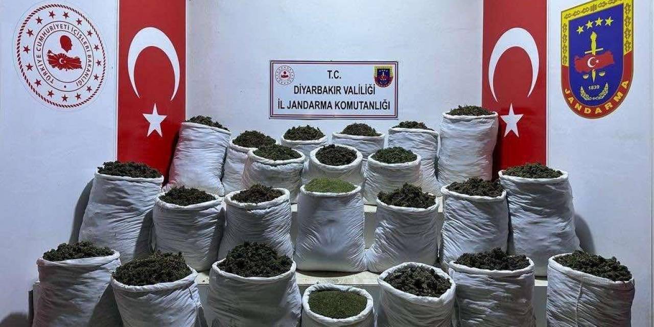 Diyarbakır’da 435 Kilo Esrar Ve 632 Bin 120 Kök Esrar Bitkisi Ele Geçirildi