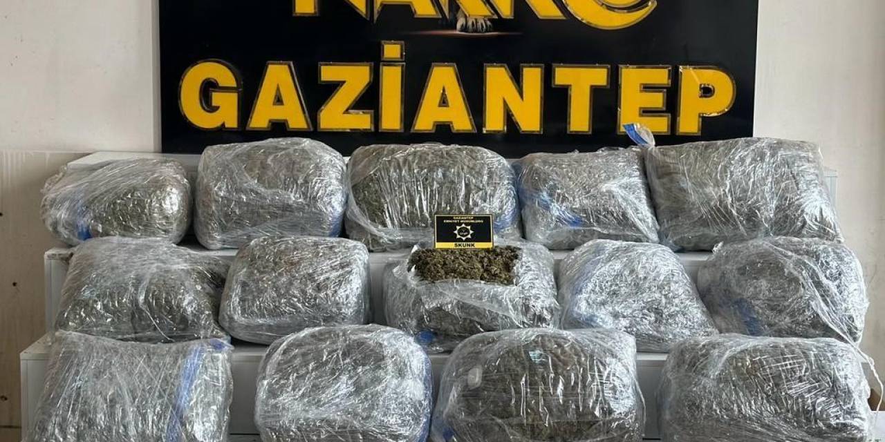 Gaziantep’te 78 Kilogram Skunk Ele Geçirildi: 1 Şahıs Tutuklandı