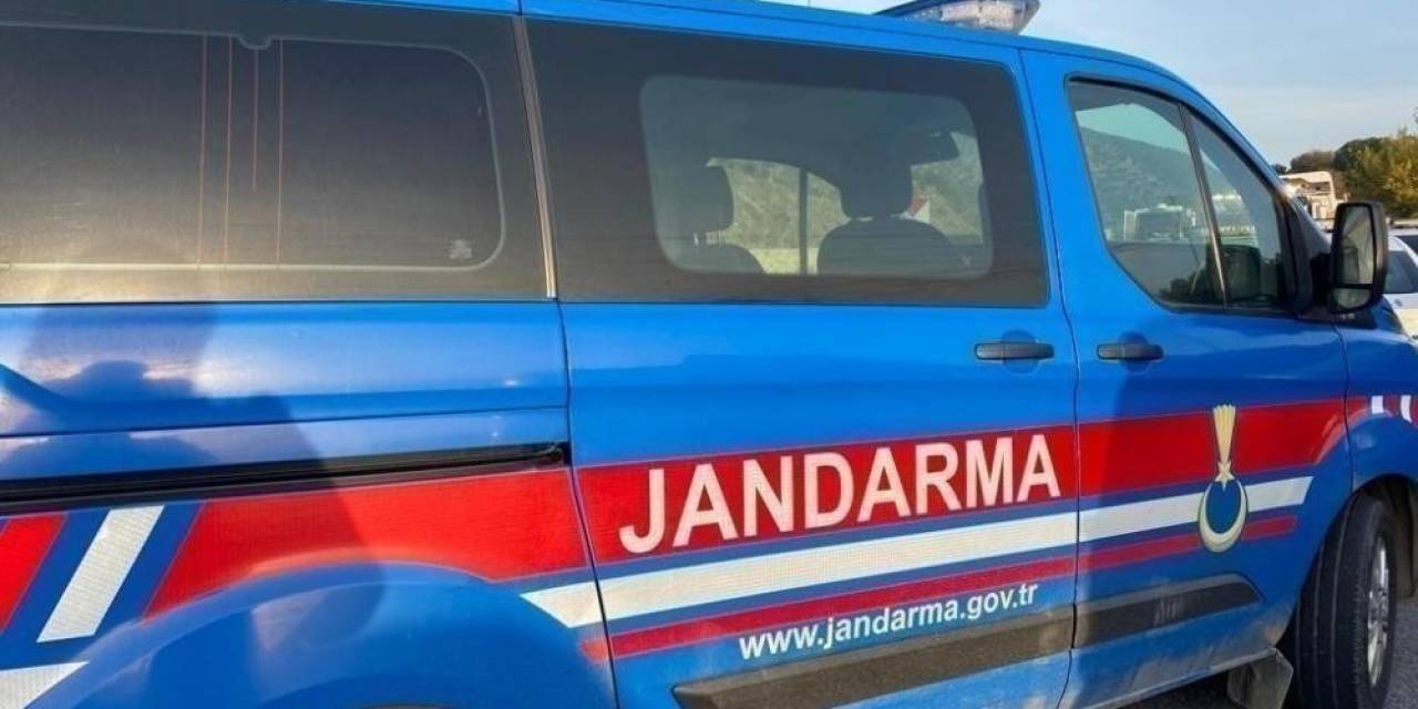 Palet Hırsızlarını Jandarma Yakaladı