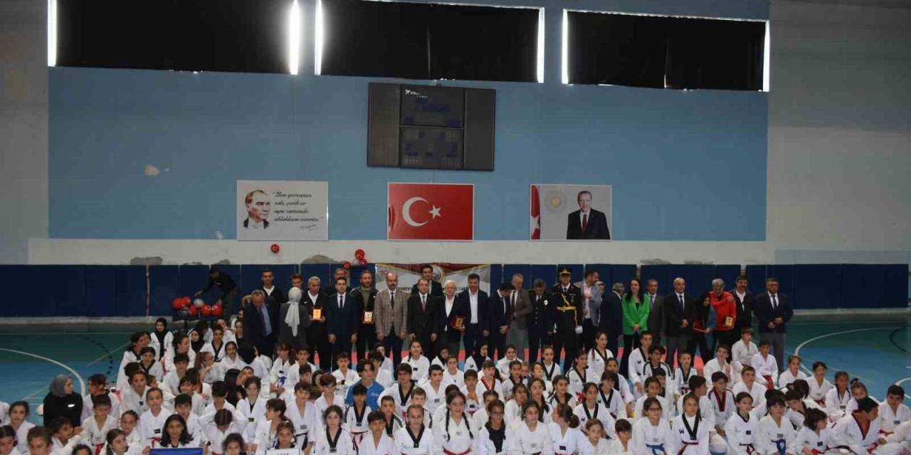 Cumhuriyetin 100. Yılında Tosya’da 210 Sporcunun Katılımı İle Bölgesel Tekvando Turnuvası Düzenlendi