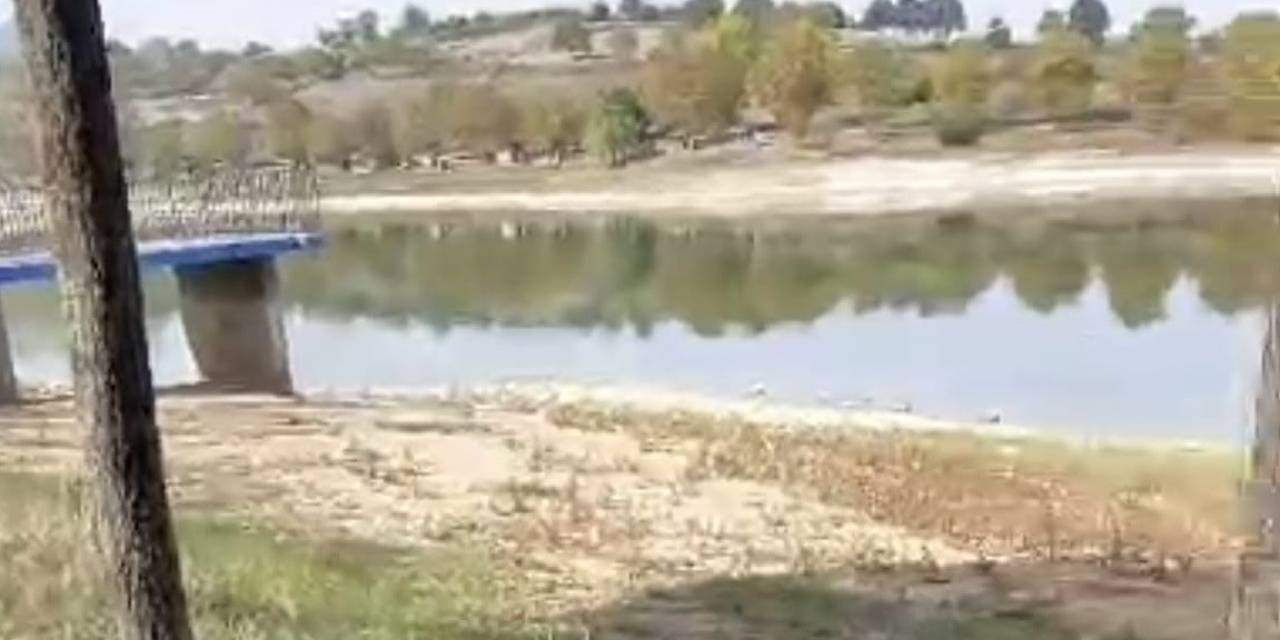 Balık Yakalamak İsterken Gölete Düşen Çocukları Babaları Kurtardı