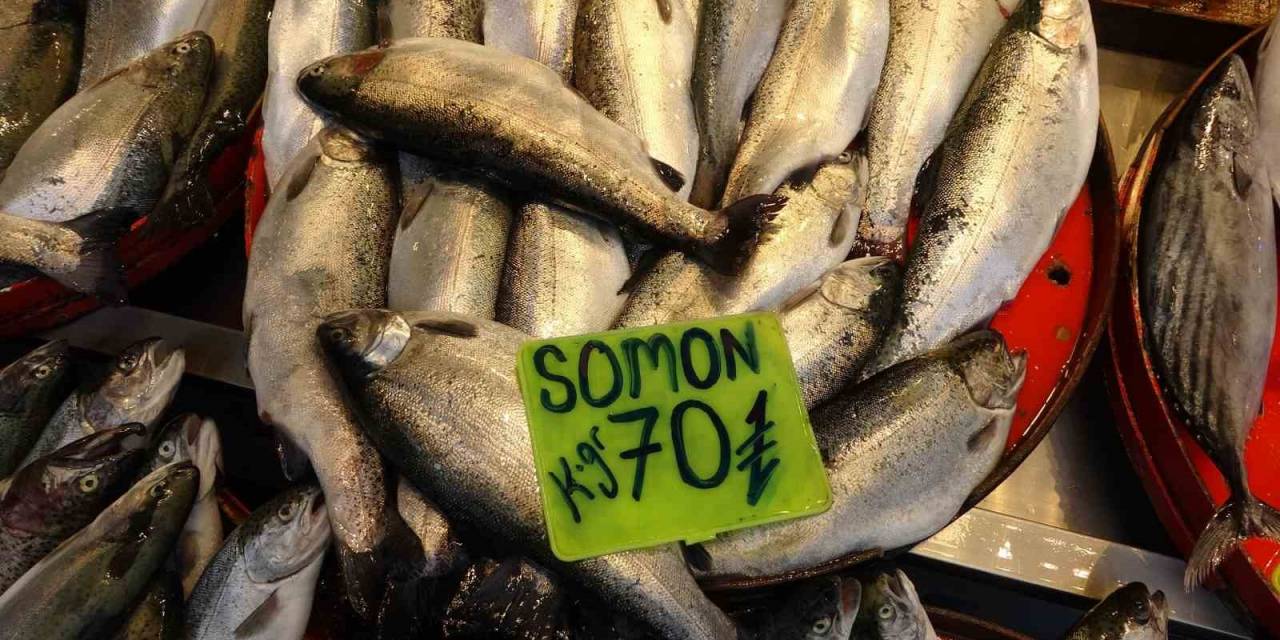 Türkiye’de Su Ürünleri İhracatında 9 Ayda 313 Milyonun Üzerinde Dolar Döviz Girdisi Sağlandı