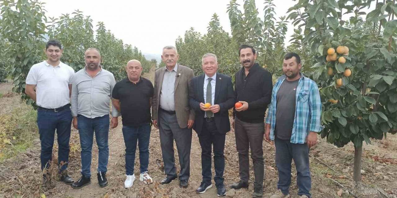 Honaz’da Cennet Hurması Üreticileri Nefes Alacak