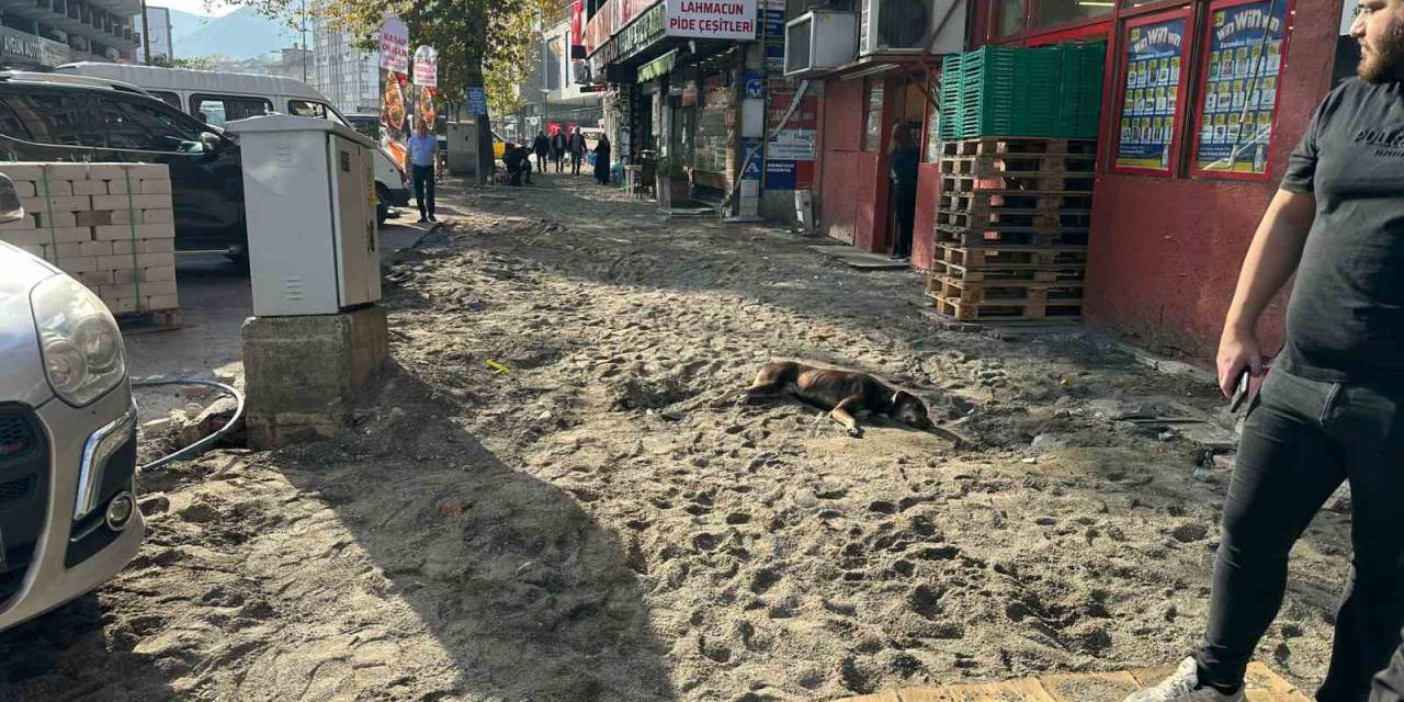 Zonguldak Belediyesi’nin Kaldırım Yenileme Çalışmaları Sürüyor