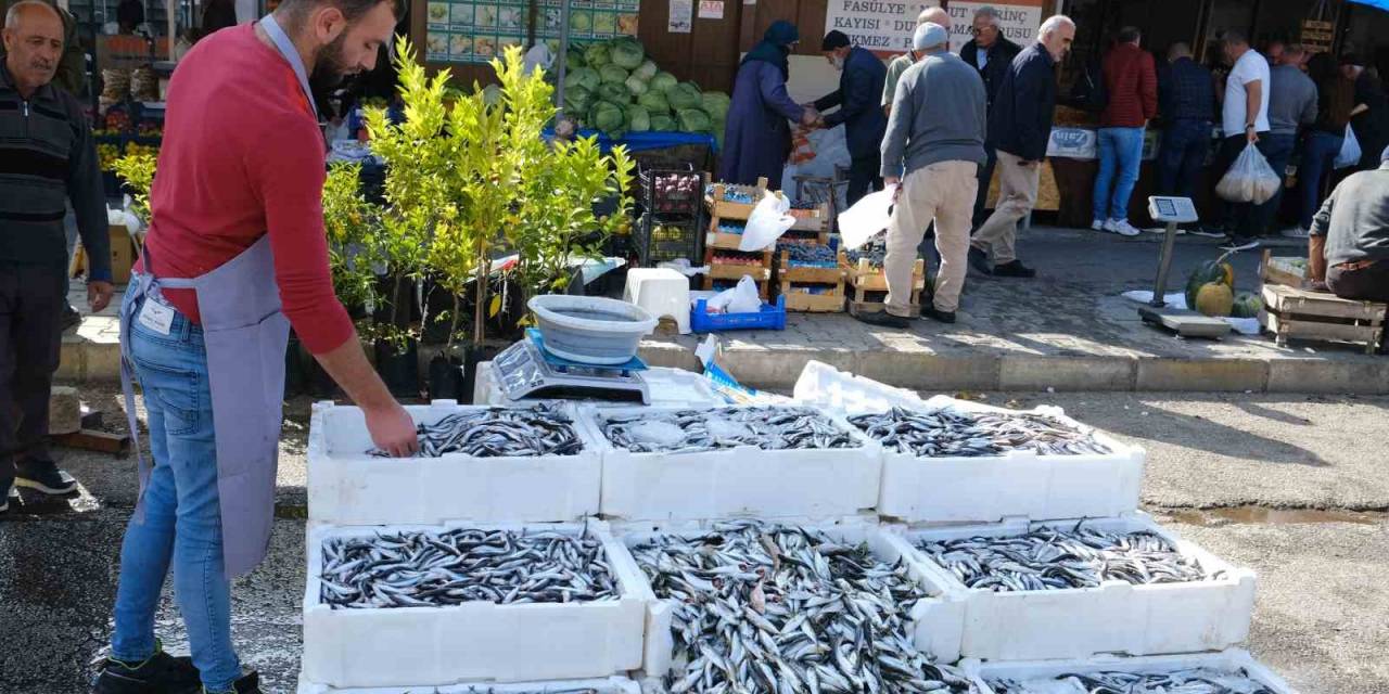 Erzincan’da Tezgahlarda Hamsi Bolluğu