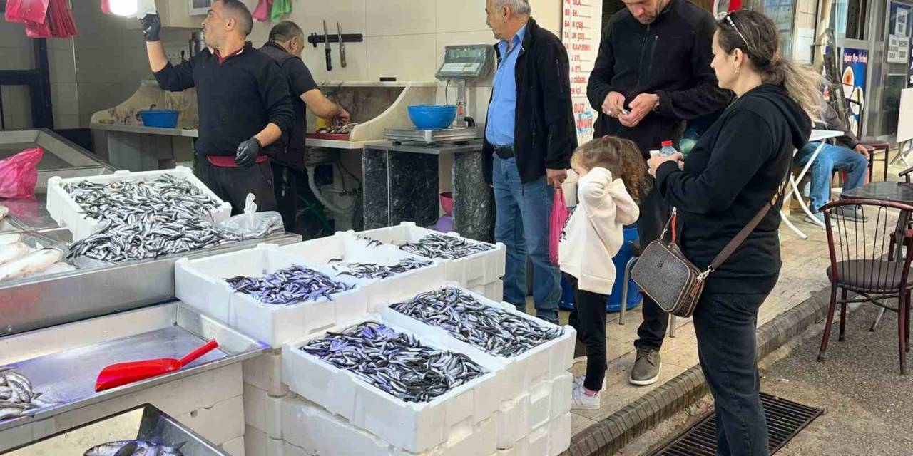 Sinop Hamsisi Azaldı: Kilosu 60 Lira