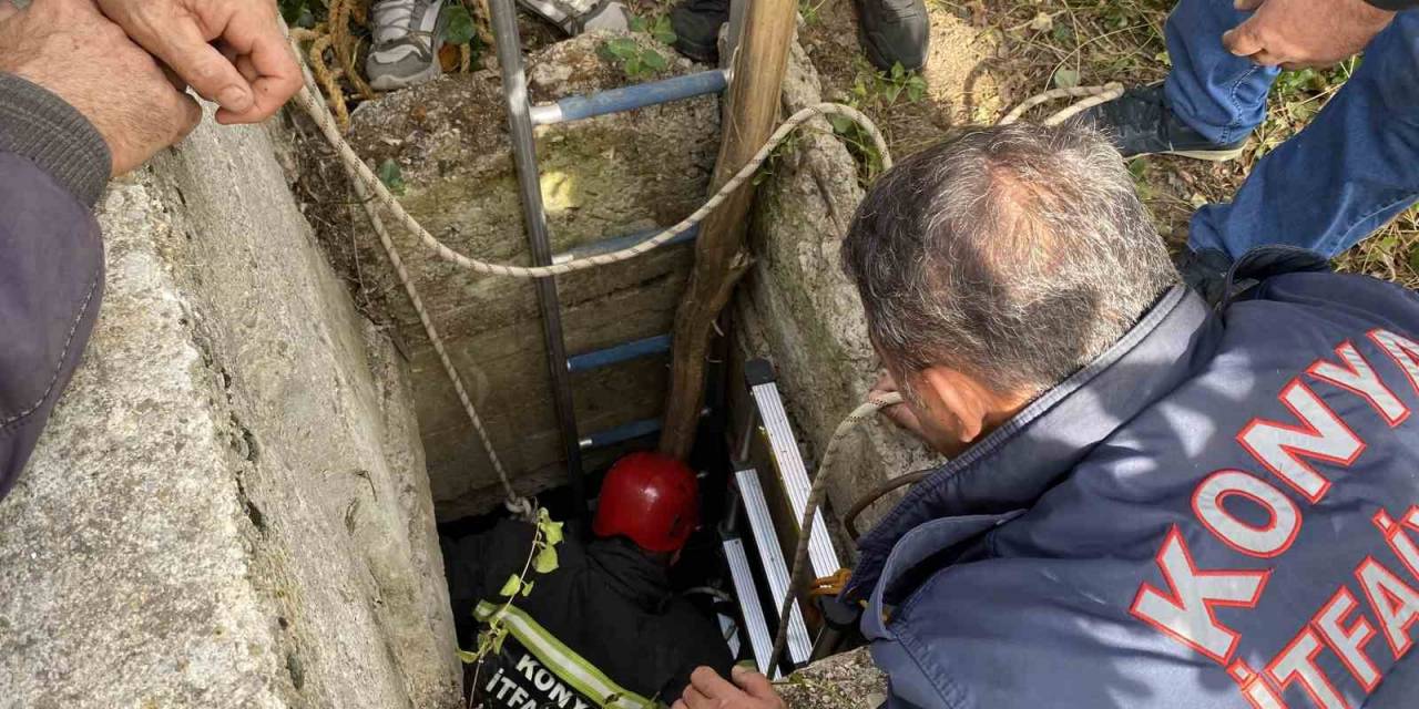 İtfaiyeden Kuyudan Koyun Kurtarma Operasyonu