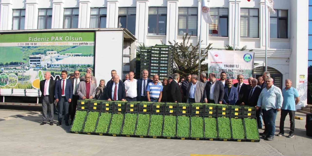 Yalova’da Çiftçilere 595 Bin Kıvırcık Fidesi Dağıtıldı
