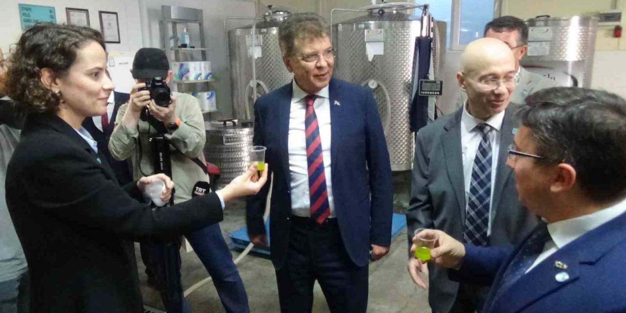 Edremit Belediyesi’nin Zeytinyağlarını Balıkesir Üniversitesi Üretecek