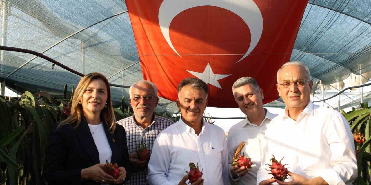 Narenciyenin Merkezinde Tropik Ürün Yetiştirdi, Şimdi Taleplere Yetişemiyor