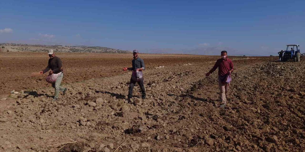 Kulp’ta Çiftçiler İmece Usulü Tohumu Toprakla Buluşturdu