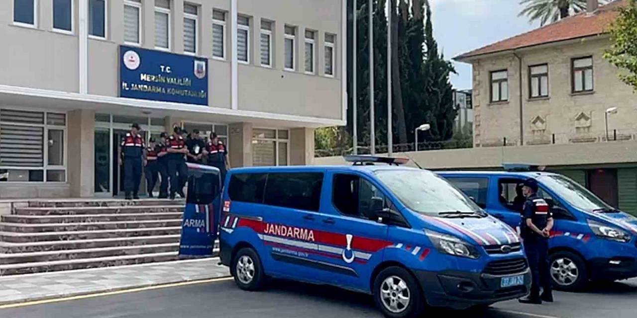 Jandarmadan Organize Suç Örgütüne Operasyon: 6 Tutuklama