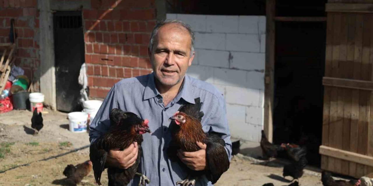 Kırsal Kalkınmaya Yumurta Dopingi