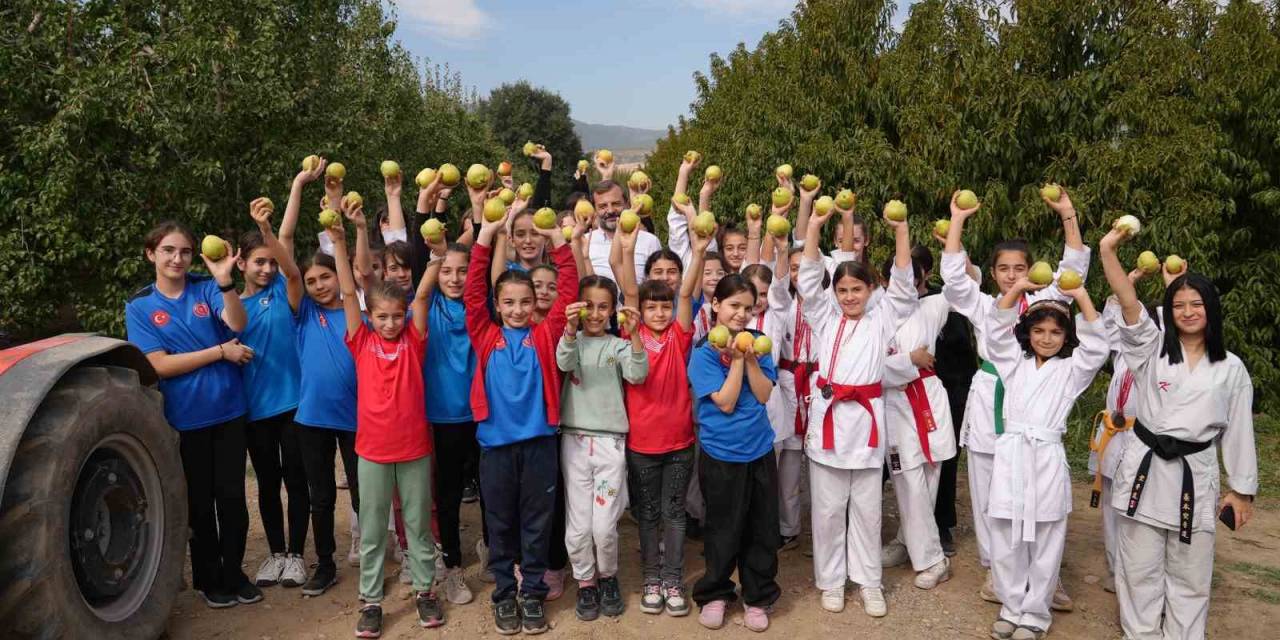 ’bizim Elimiz Sadece Armut Toplamaya Kalkar’
