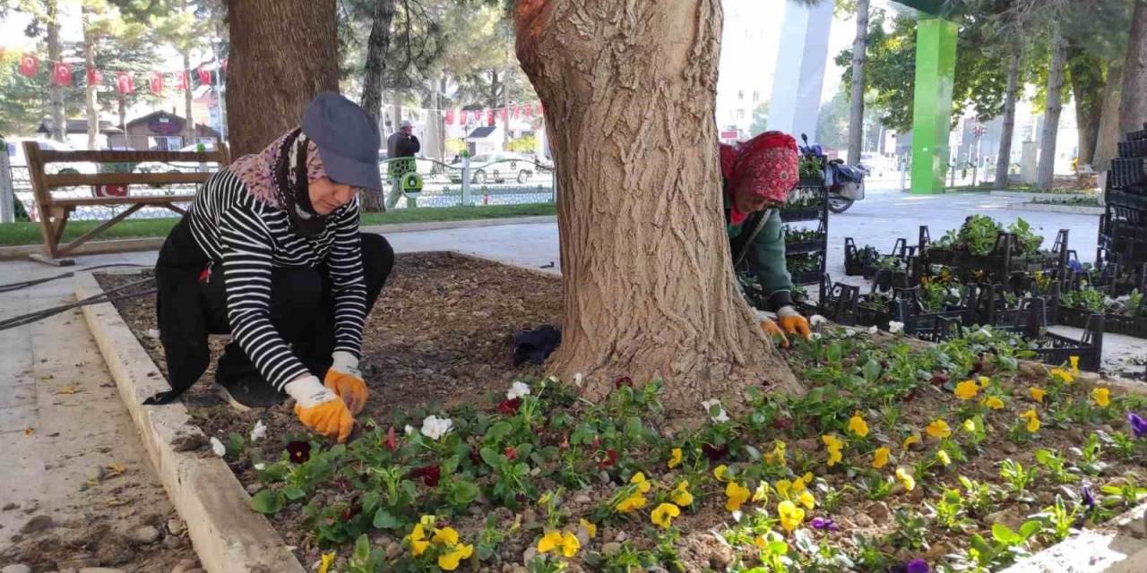 Ereğli Belediyesi Çevre Düzenleme Çalışmalarını Sürdürüyor