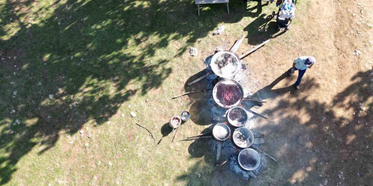 Toros Dağı Zirvesinden Türkiye’ye Yayılan Şifa: Andız Pekmezi