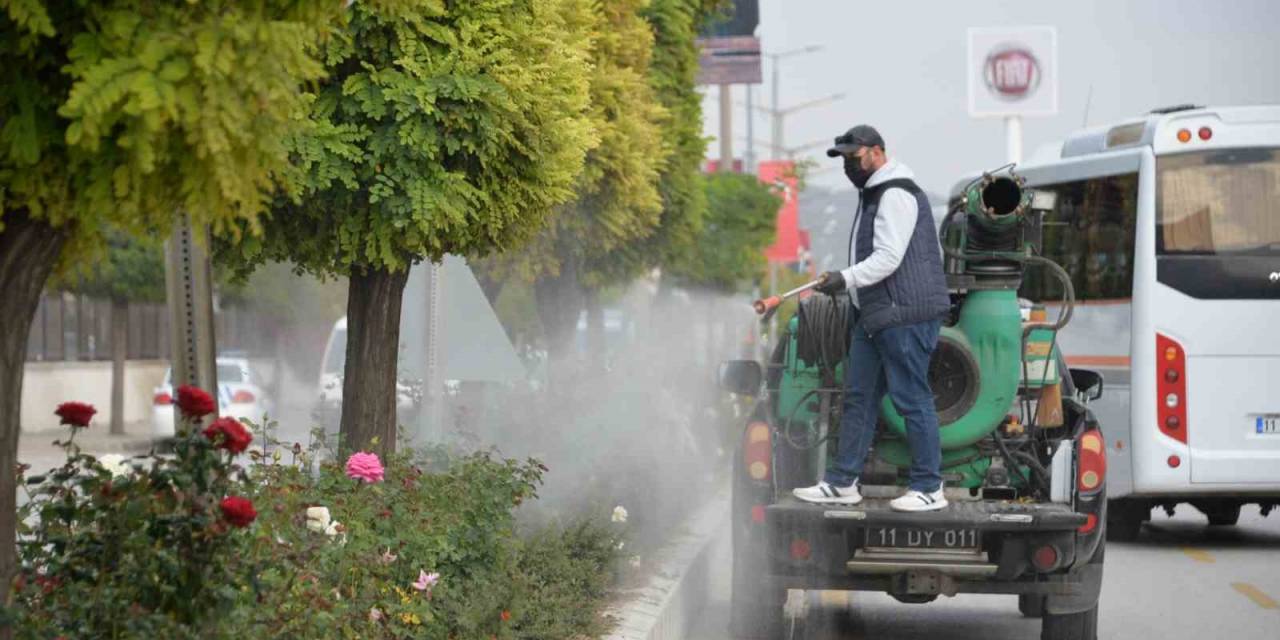 Bozüyük’te Güller İlaçlanıyor