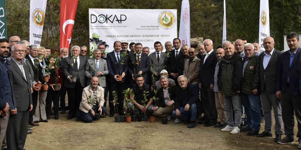 Kürtün Süper Meyve “Aronya” İle Kalkınacak