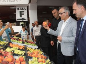 İnegöl Tarım Fuarı Kapılarını Açtı