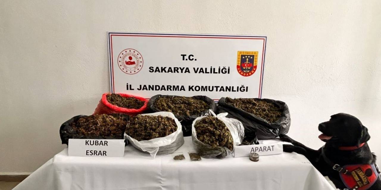 Sakarya’da 21 Kilo Esrar Ele Geçirildi: 1 Tutuklama