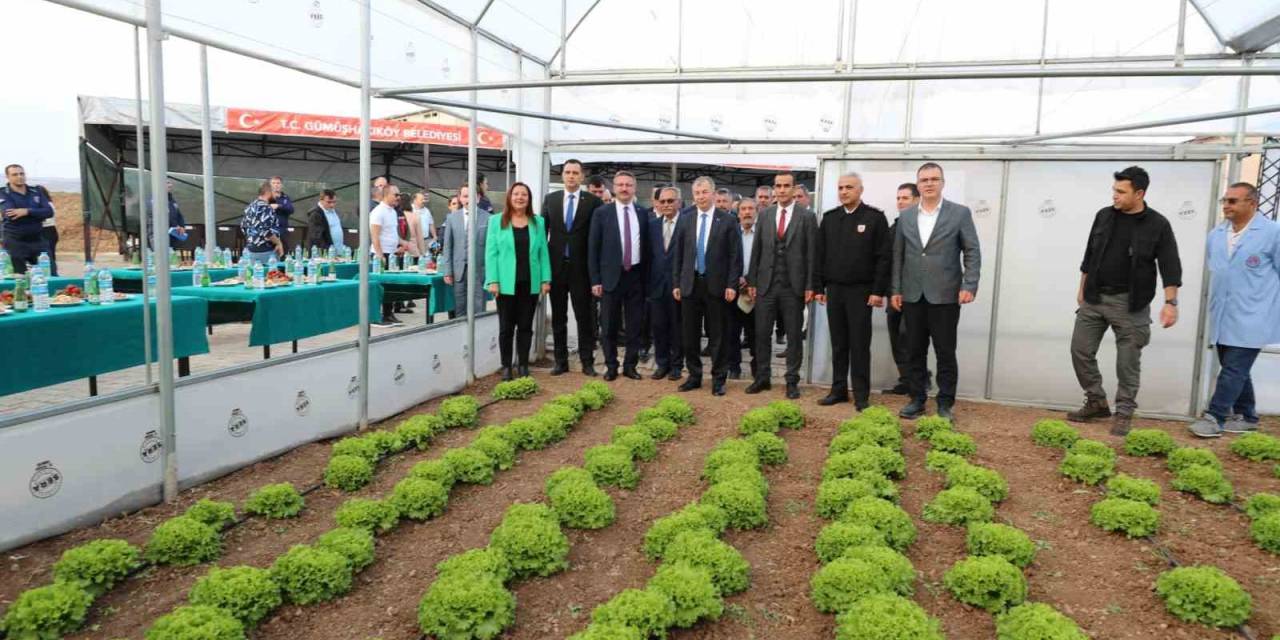 Tarla Değil Cezaevi