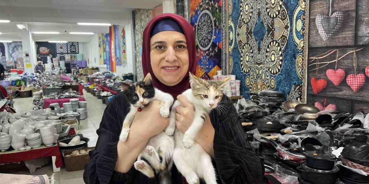 50 Yaşında Sosyal Medya İle Hayvanlara Yardım Eli Uzatıyor