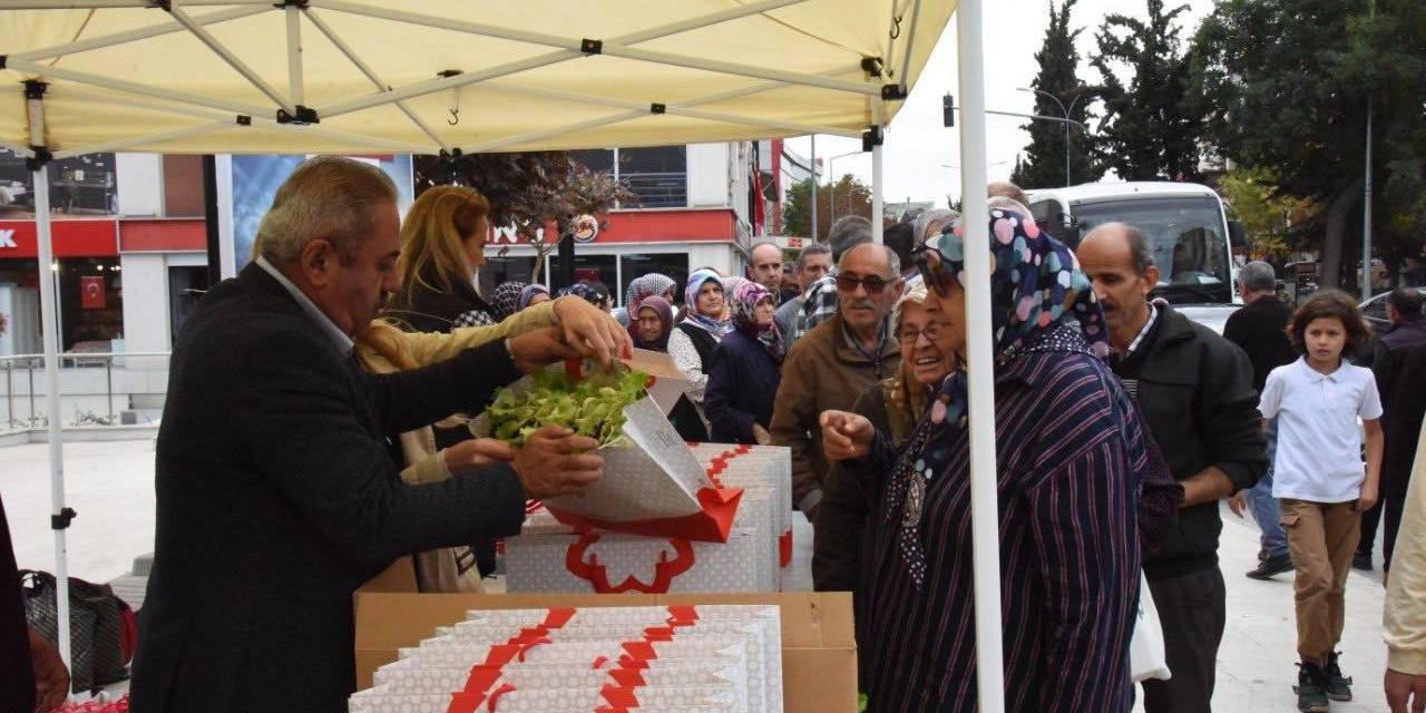 Vatandaşlara 30 Bin Adet Marul Fidesi Dağıtıldı