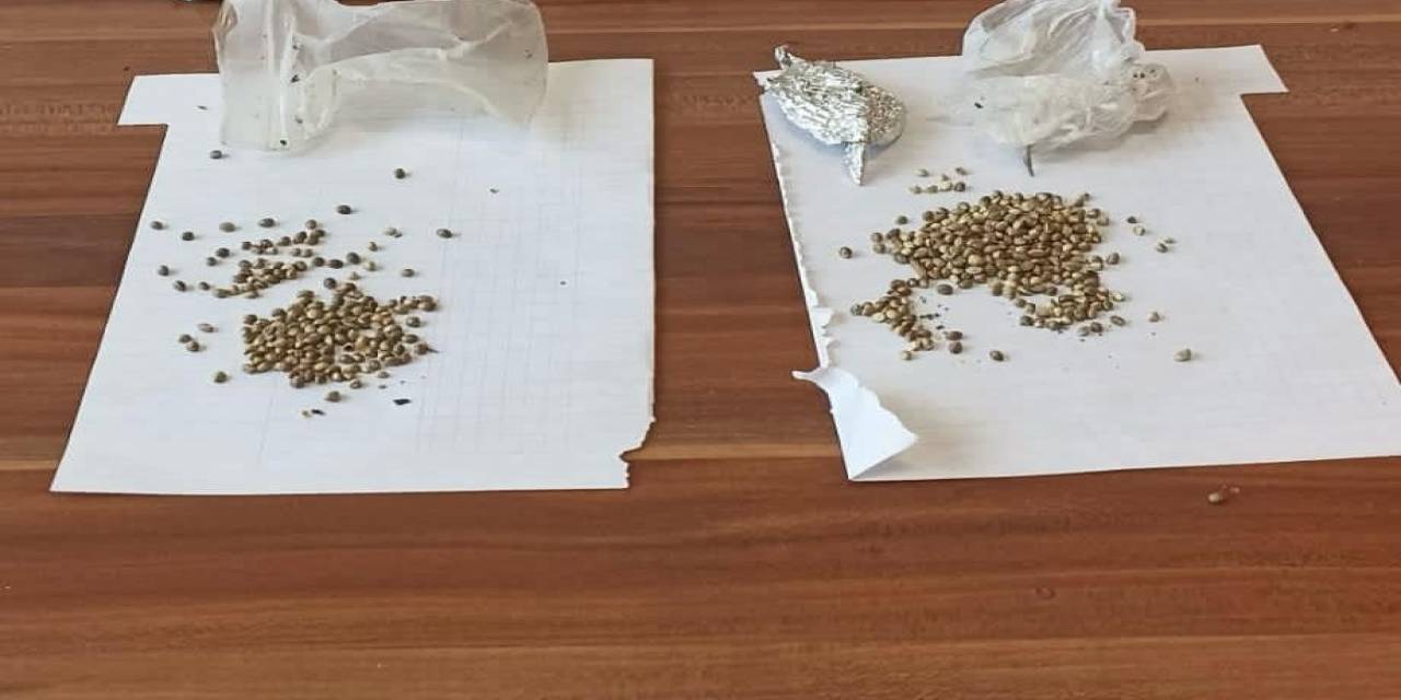 Molotofcu Dgh Üyesi Uyuşturucuyla Yakalandı