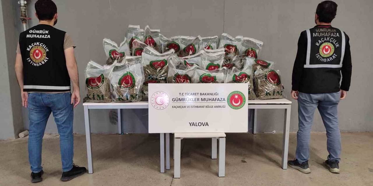 Yalova Ro-ro Limanı’nda Yurda Sokulmak İstenen 80 Kilo Uyuşturucu Yakalandı