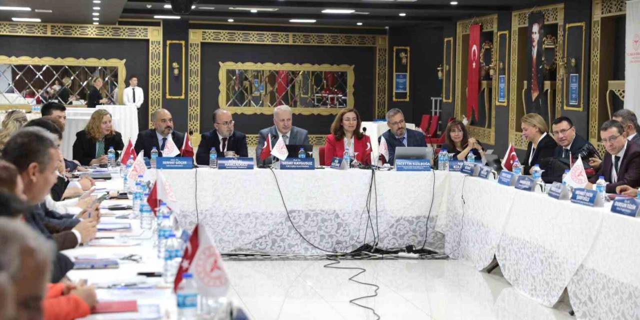 Samsun’da Halk Sağlığı Hizmetleri Bölge Değerlendirme Toplantısı Yapıldı