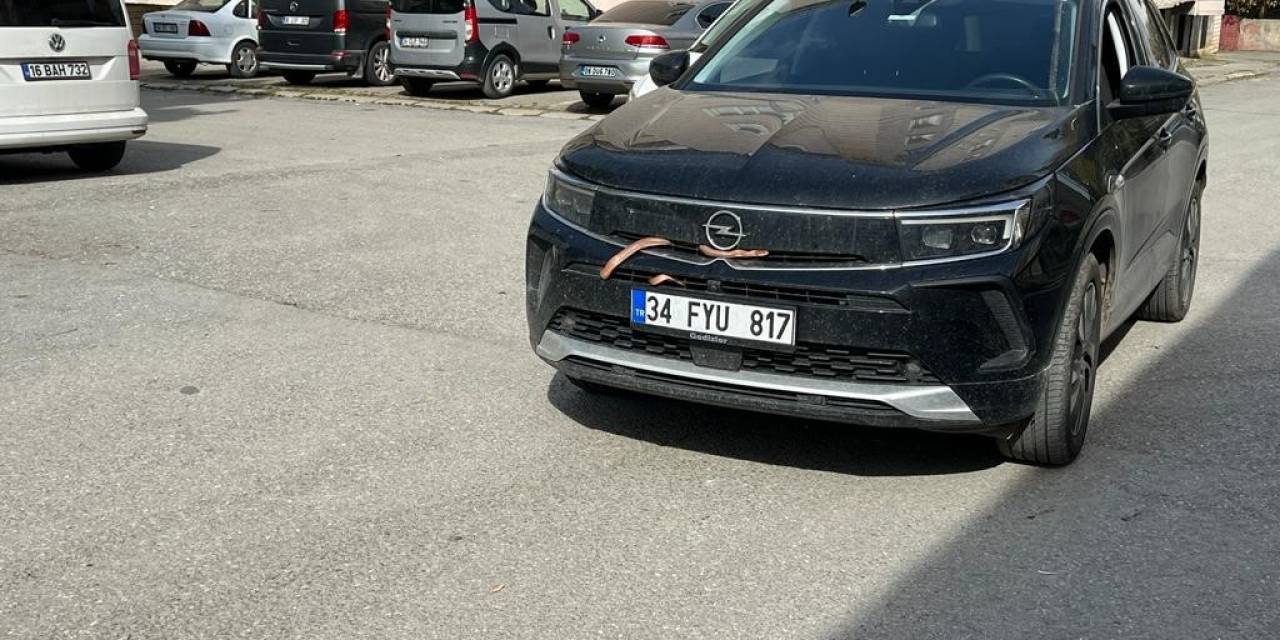 Otomobilin Motor Bölümüne Giren Yılan Yün Yakılarak Çıkarıldı