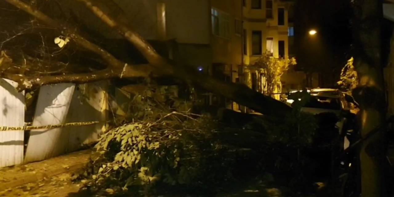Üsküdar’da Evin Bahçe Duvarına Ağaç Devrildi