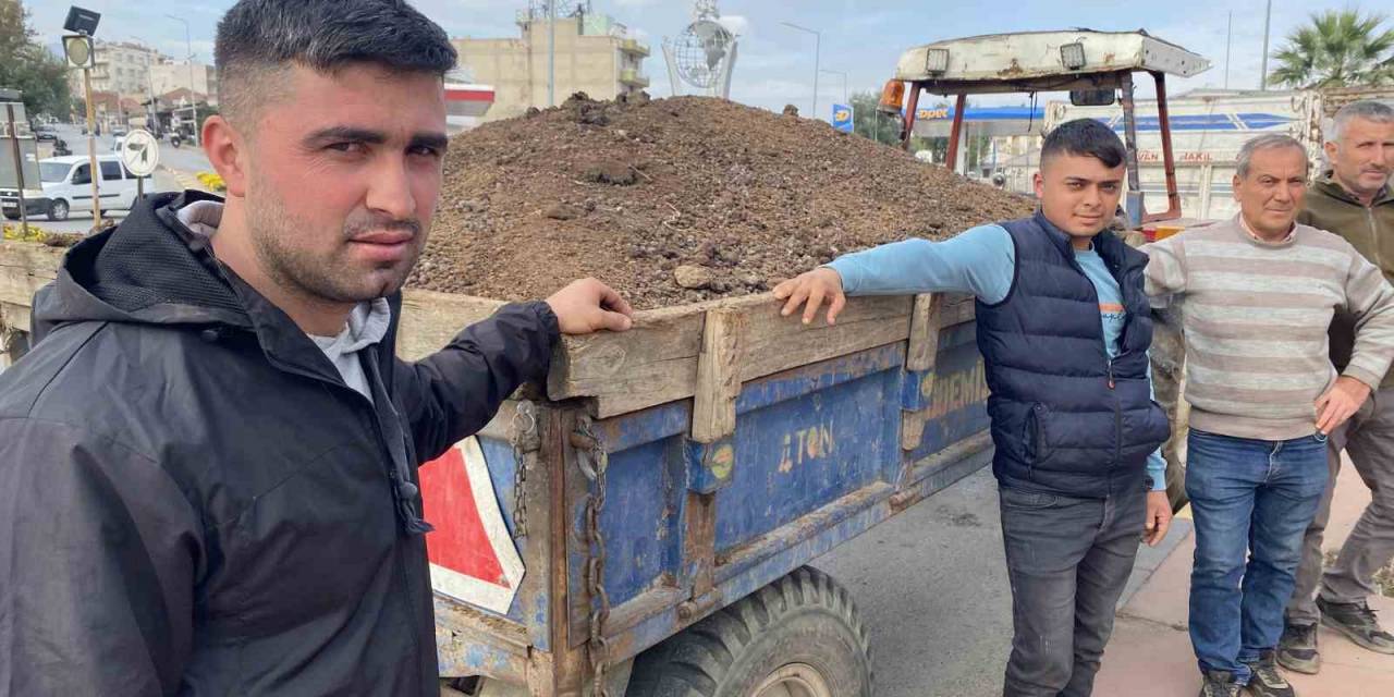 Sultani Üzümde Gübreleme Sezonu Başladı