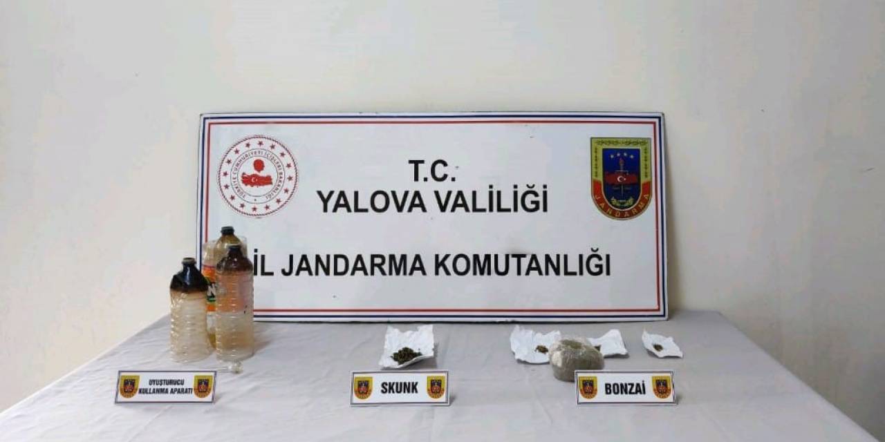 Yalova’da Ormanlık Alanda Uyuşturucu Yetiştiren Zanlı Tutuklandı