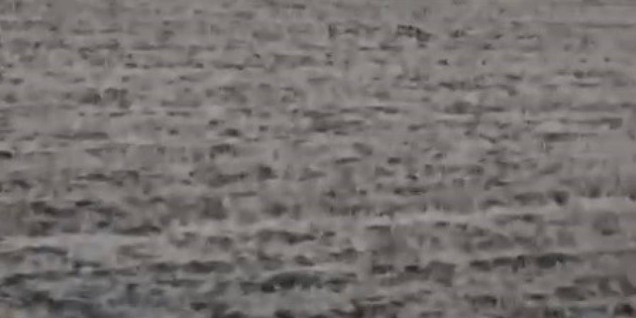 Kars’ta Anne Ve Yavru Ayılar Köye İndi