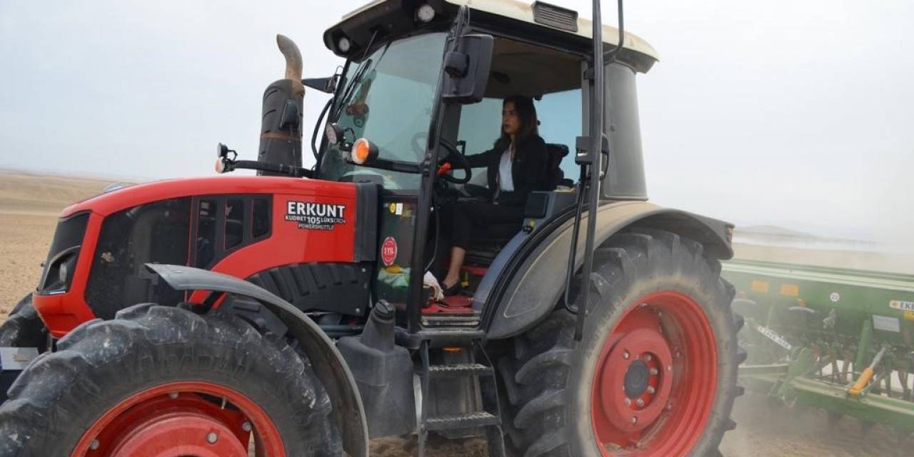Beylikova’nın Kadın Kaymakamı Eroğlu Traktör Başına Geçti 4 Milyon Metrekare Tarım Arazisine Hububat Ekimi Başladı