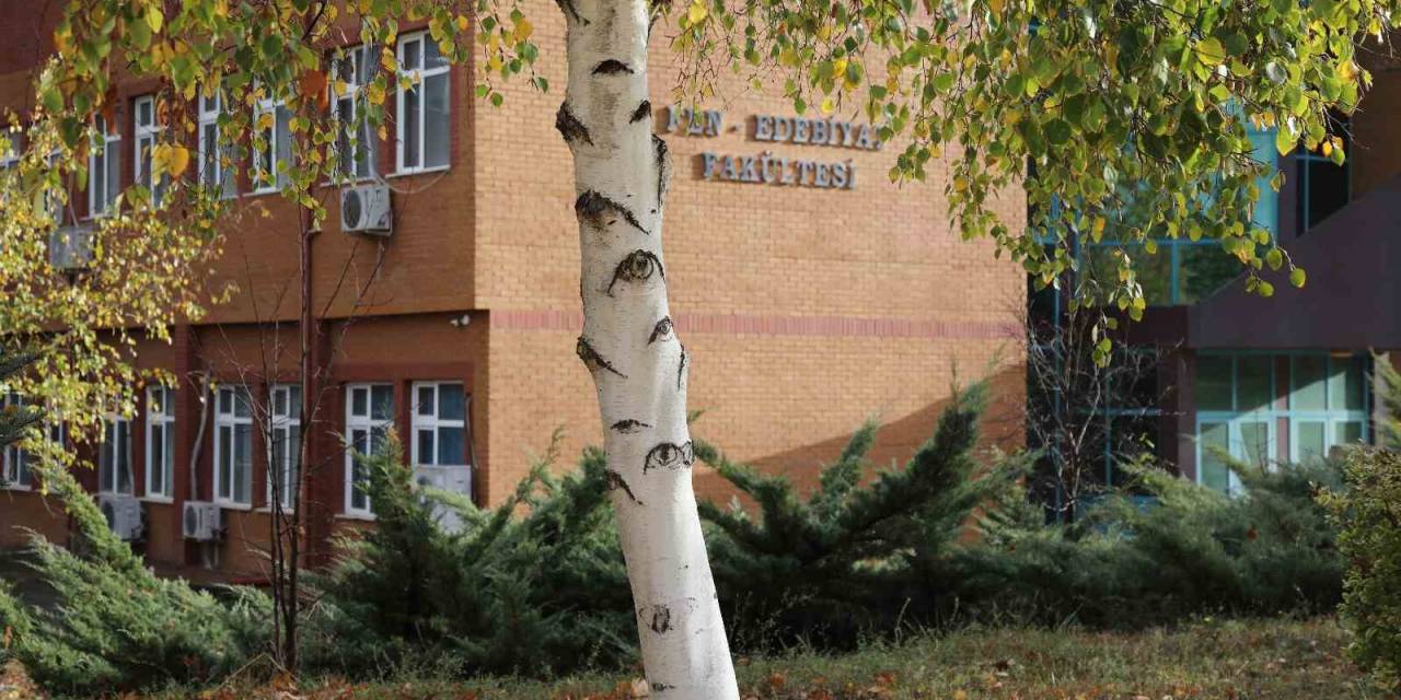 Togü’de Gözleri Olan Ağaç Sosyal Medya Da İlgi Odağı Oldu