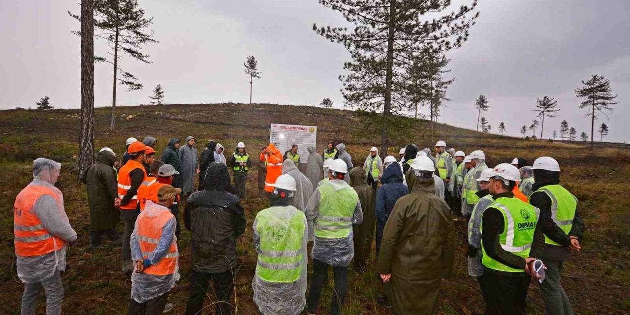 Balıkesir Ogm Silvikültür Eğitimlerine Devam Ediyor