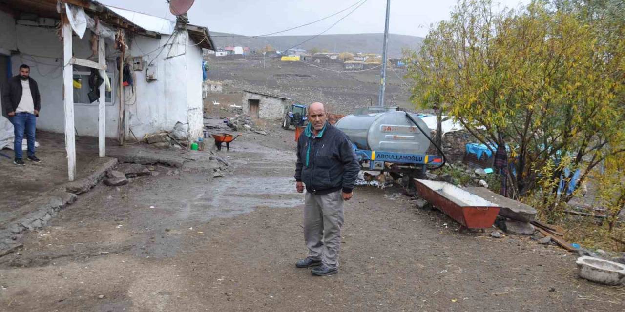 Kars’ta Torunlarının Tedavisini Karşıladıkları İnekler Çalındı