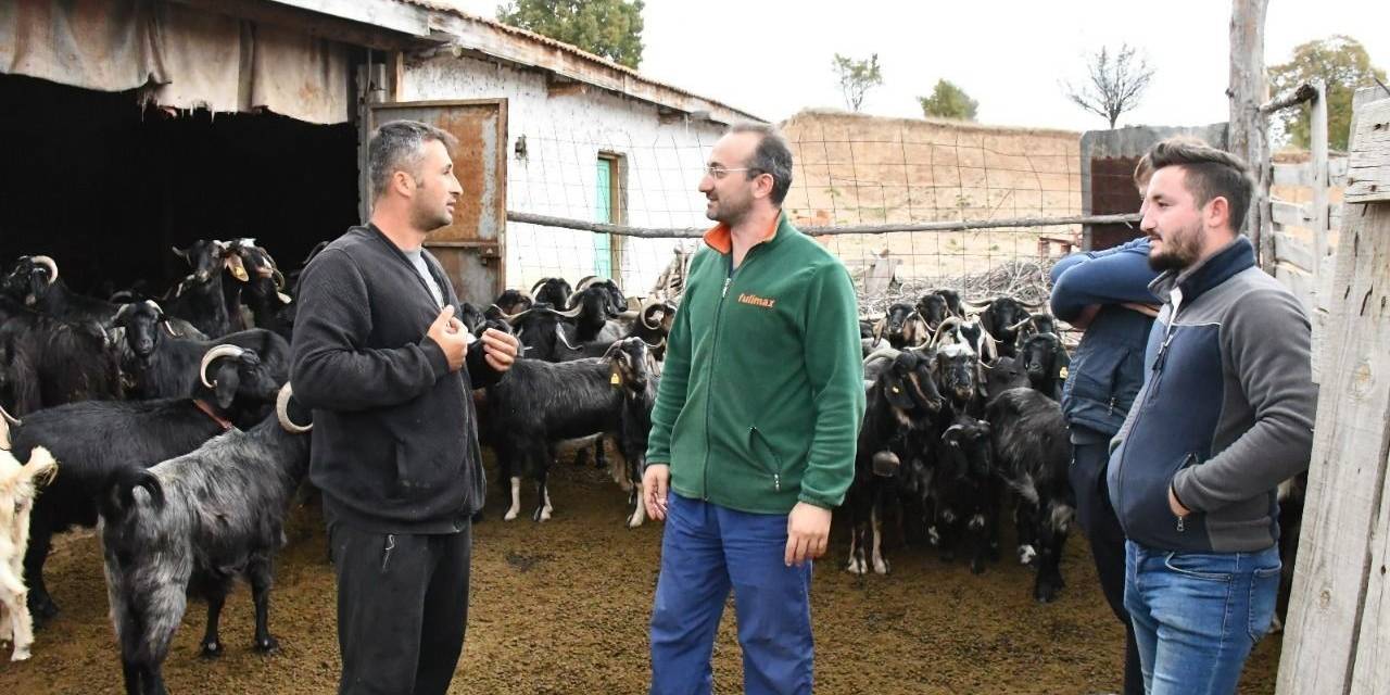 Emet Belediyesinin Keçi Peyniri Projesinde Üretici Sayısı Artıyor